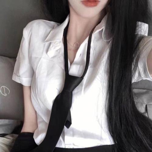 小鸟之翼第二季